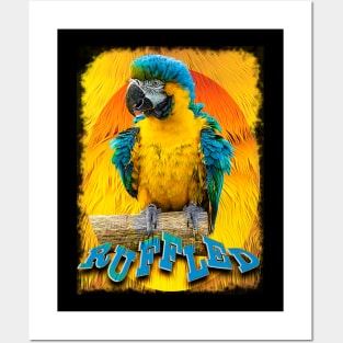 Ruffled Parrot Posters and Art